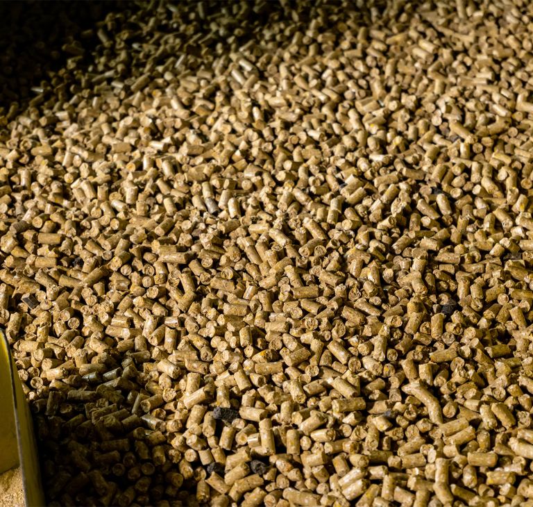 Animal feed pellets.  